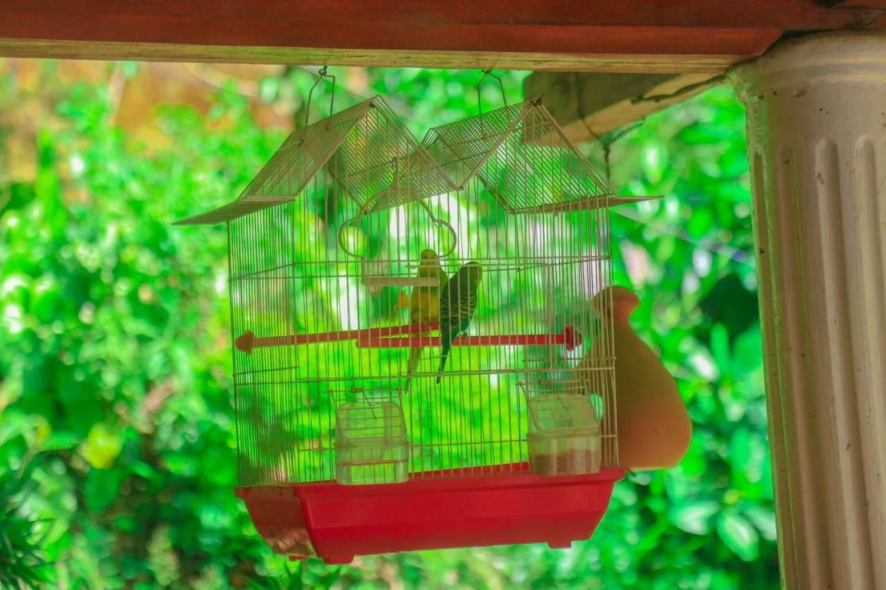 Rustle Hill Home Stay-Ella Ngoại thất bức ảnh